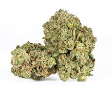 BC Legacy – Couchlock