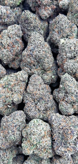 BLACK CANDY GELATO