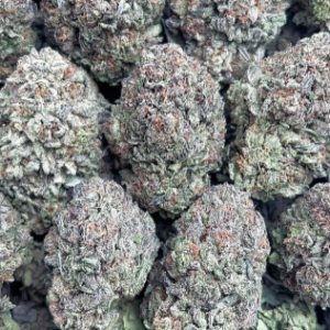 BLUE COOKIE
