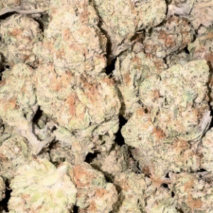 Blueberry Muffins - Bulk - Indica