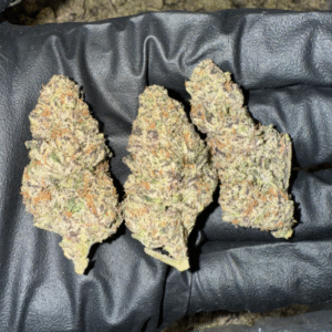 Gas Cake - Bulk Mediums - Indica