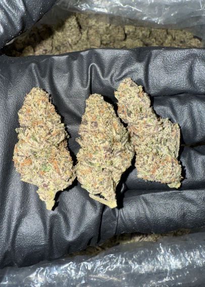 Gas Cake - Bulk Mediums - Indica