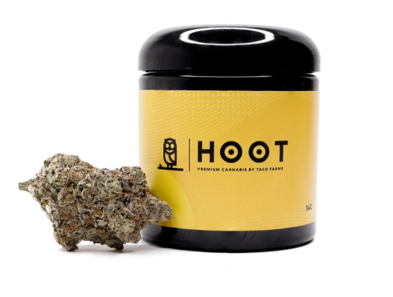 Hoot Cannabis – Purple Pineapple