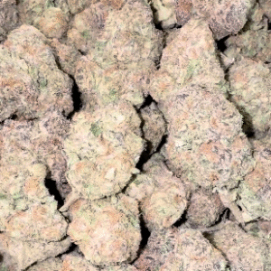 Cereal Milk - Bulk - Hybrid