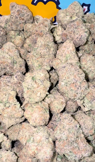 Cereal Milk - Bulk - Hybrid