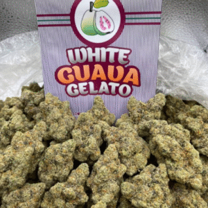 white guava gelato strain