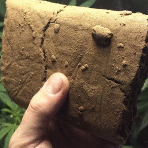 Hashish