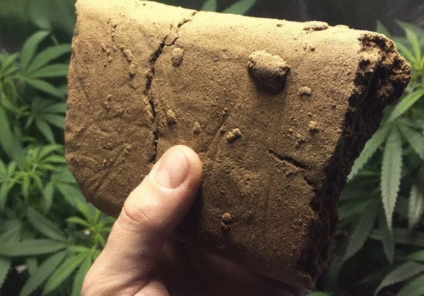 Hashish